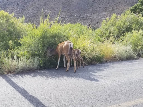 Convict-Lake-10